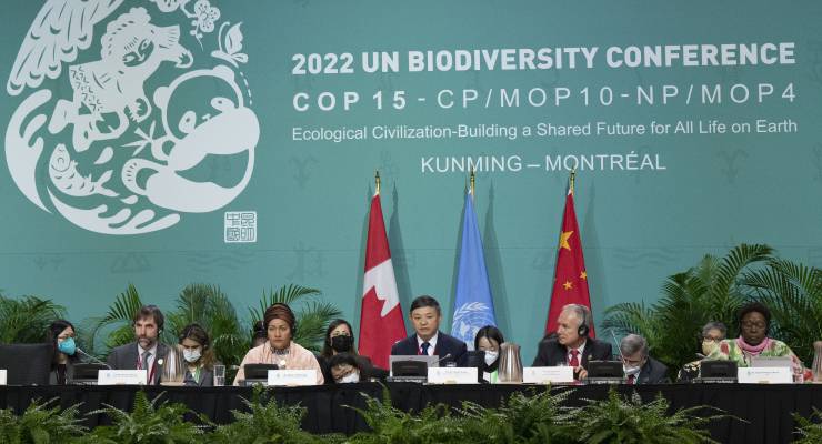 COP15 acts: a third of the earth to be kept for nature by 2030