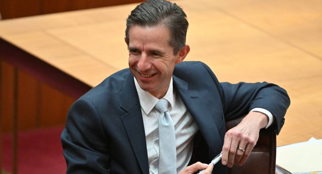 Simon Barnham Simon Birmingham: Libs need to stop the nasty, and start the nice