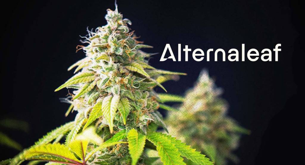 TGA's lawsuit against Alternaleaf to shape cannabis advertising