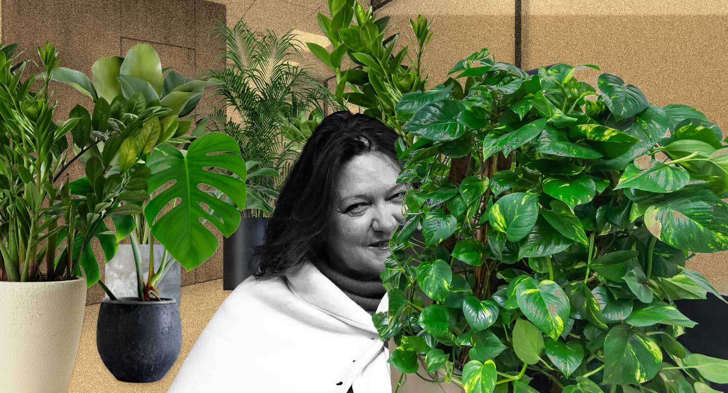 Why is no one talking about the politicisation of public sector plants!?