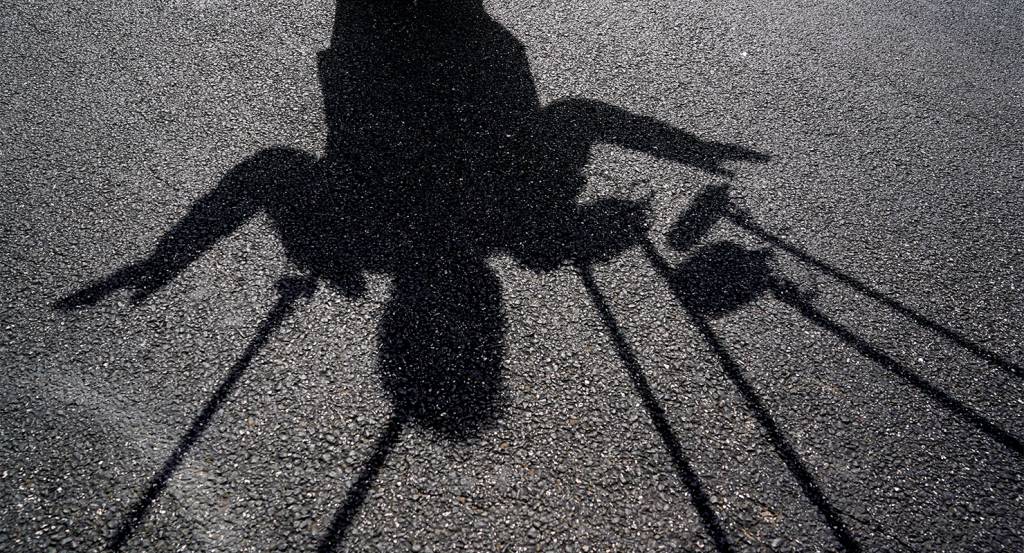 Shadow Collapsing Donald Trump’s shadow and the collapse of the progress myth