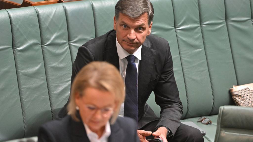 Did Labor pick the new Liberal leader? Crikey readers on the rise of Angus Taylor