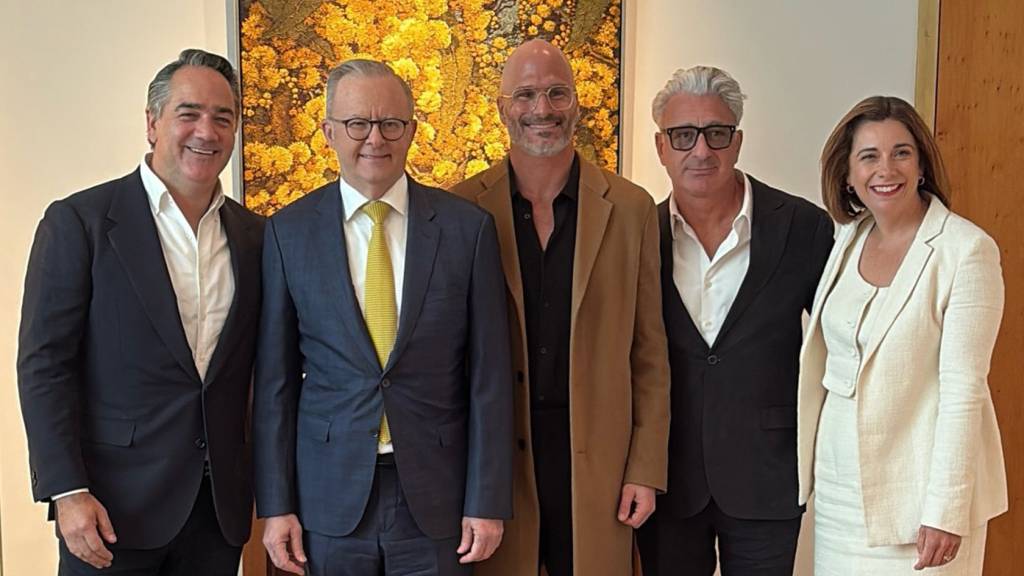 Albanese government offered to pay 36 Months lobby group to promote teen social media ban