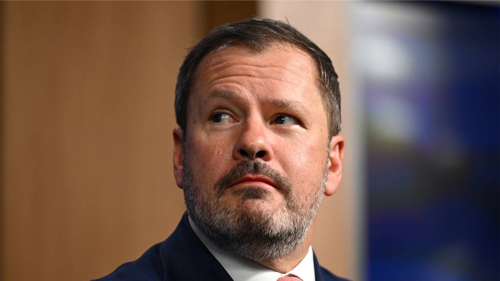 ‘You can’t always make nice’: Ed Husic unshackled 