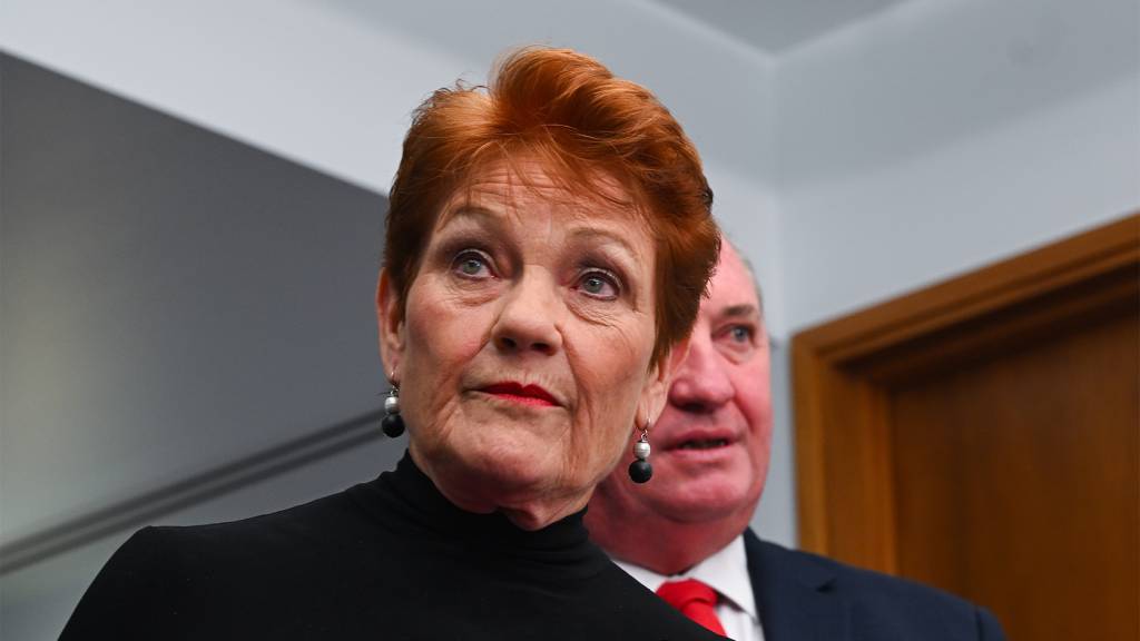 Policies? Pauline Hanson doesn’t need no stinkin’ policies. In fact, they harm her cause