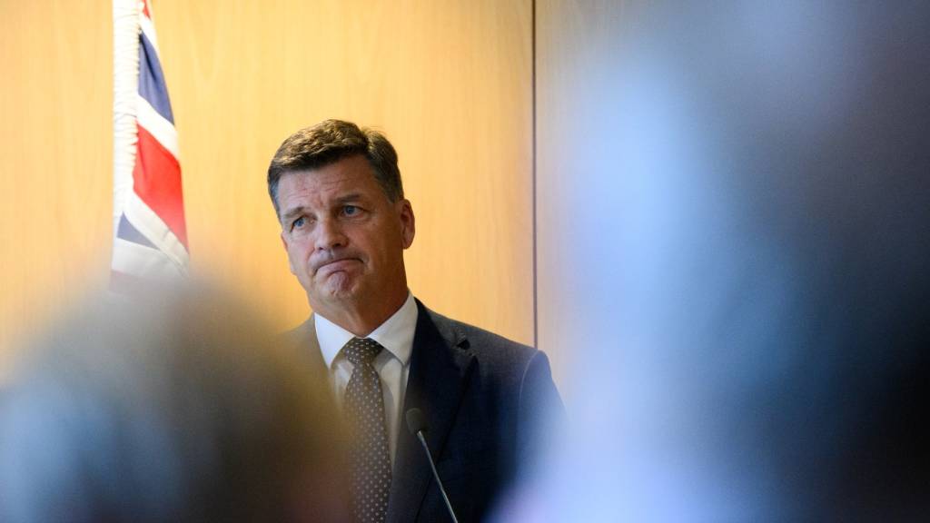 ‘We’ll work with Labor’: Coalition signals tentative support for NDIS changes