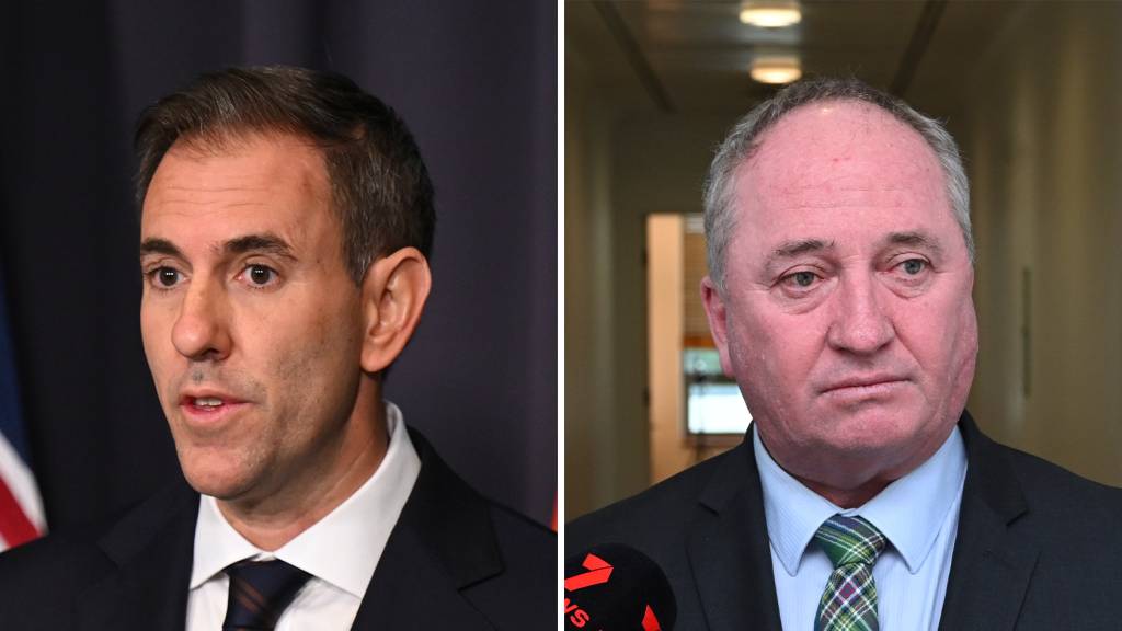 Why Barnaby Joyce is going in to bat for the richest Australians — despite One Nation’s ‘battler’ charade
