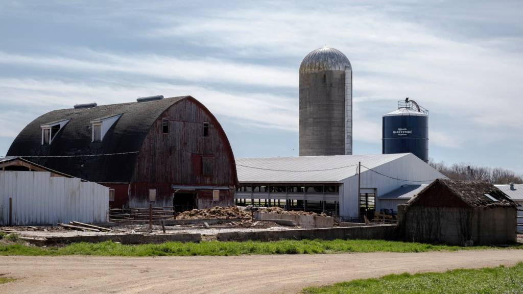 Geopolitics may affect Midwest farmers in the US, but they don’t necessarily blame Trump