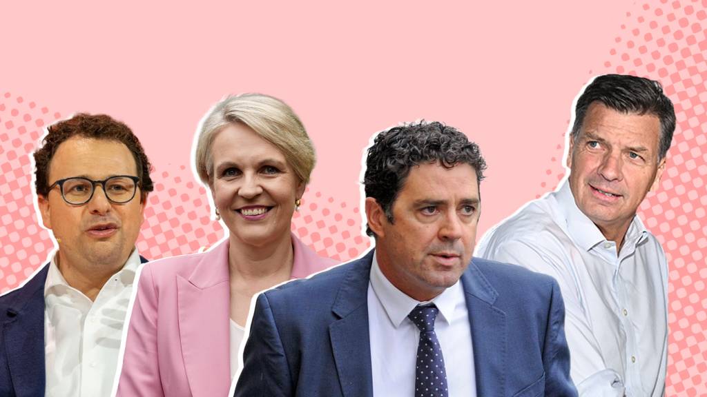 AFL 360’s leaked hot-mic jab at Plibersek, Angus Taylor’s bike and gun licence (also) stolen, and Anthropic’s law for thee but not for me