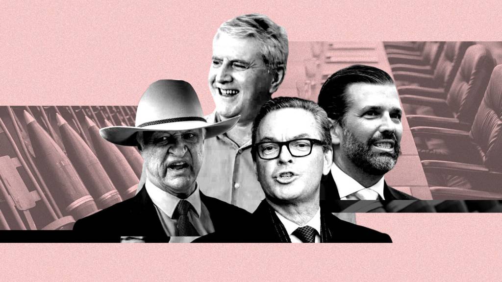 Arms company NIOA is at the centre of political and lobbying interests that stretch from Bob Katter to Labor ministers and Donald Trump Jr.