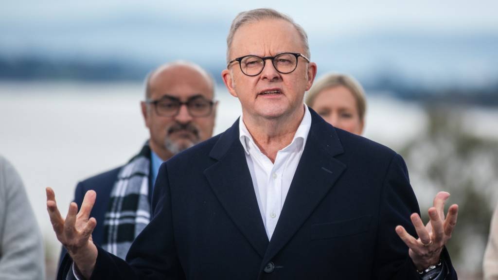 Albanese open to changes on trusts — but not on capital gains plan