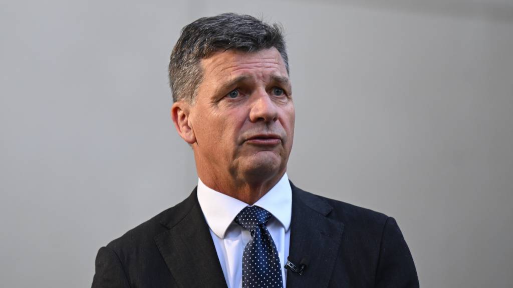 Angus Taylor’s bold plan to put NIMBYs in charge of immigration policy
