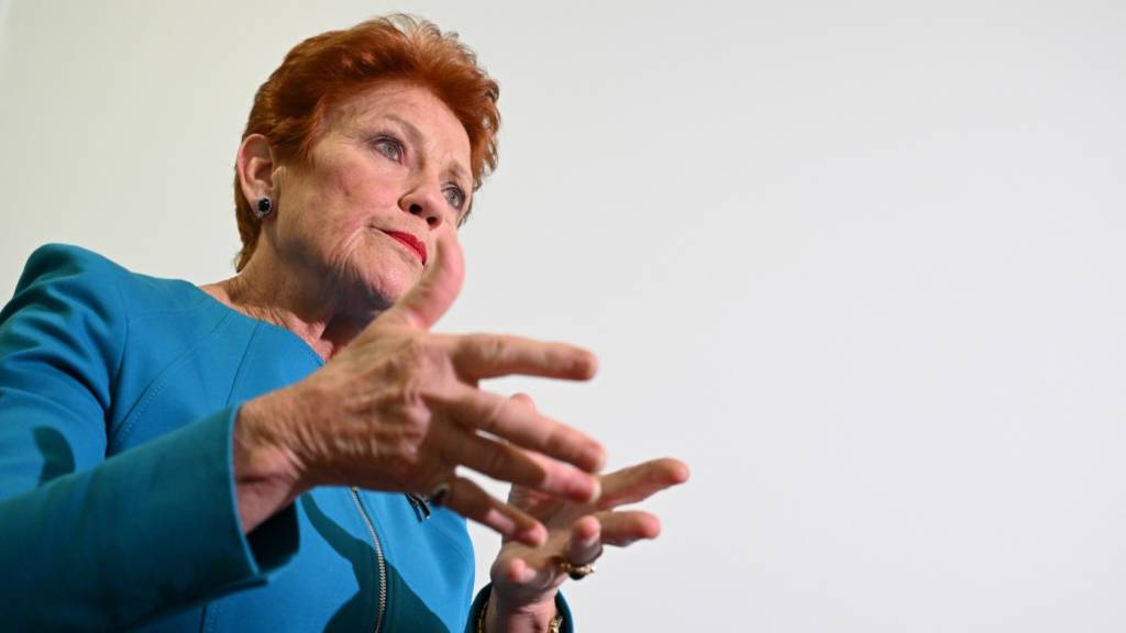 How One Nation bypassed media and conquered Facebook in its political rise