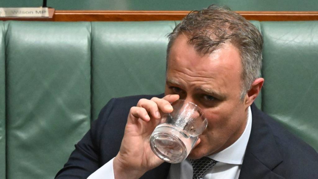 Tim Wilson will ‘never, ever, ever’ be treasurer