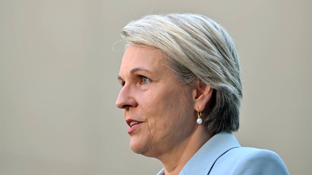 Robodebt Shadows Haunt Services Australia in Damning New Report