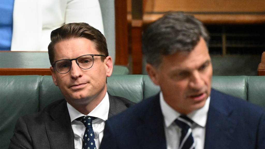 The Liberals are no monoculture on how to deal with One Nation. To fight, or capitulate?