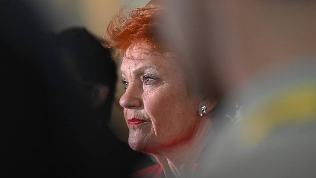 Voters still ‘flocking’ to One Nation as Liberals 