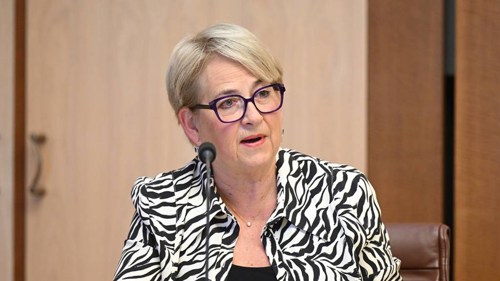 ‘Rot spans far and wide’: Greens call for KPMG government ban over ethical breaches