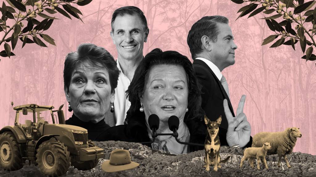 How One Nation wins when News Corp’s ‘Bush Summit’ panders to regional grievance
