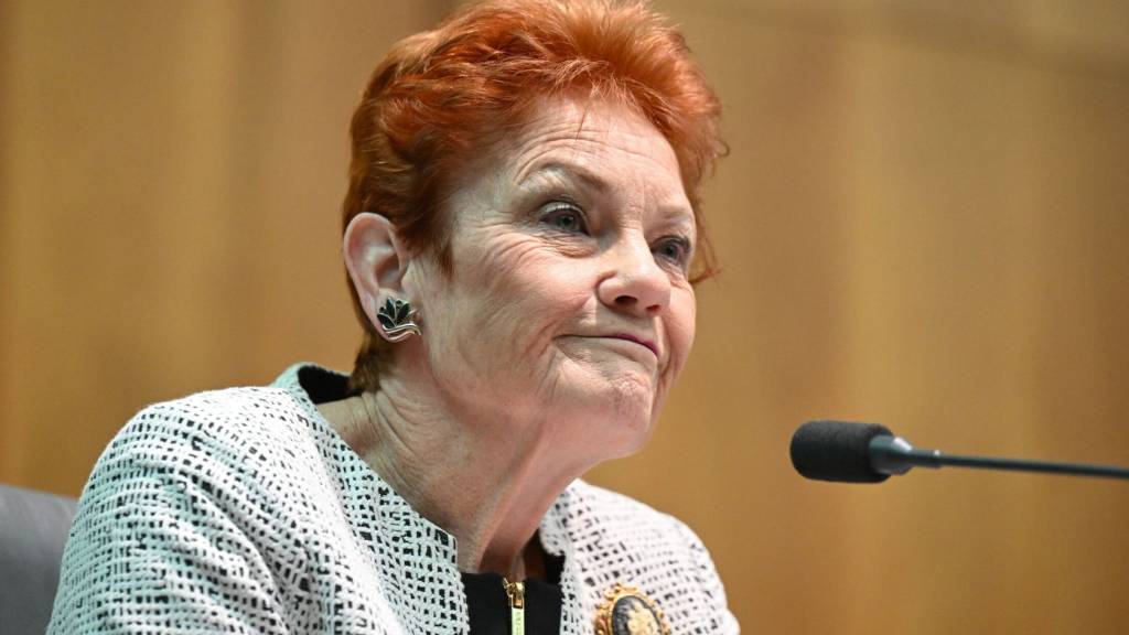 Liberal frontbencher admits they need One Nation