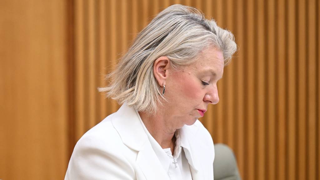 Bridget McKenzie is no Pauline Hanson. She clearly wishes she was