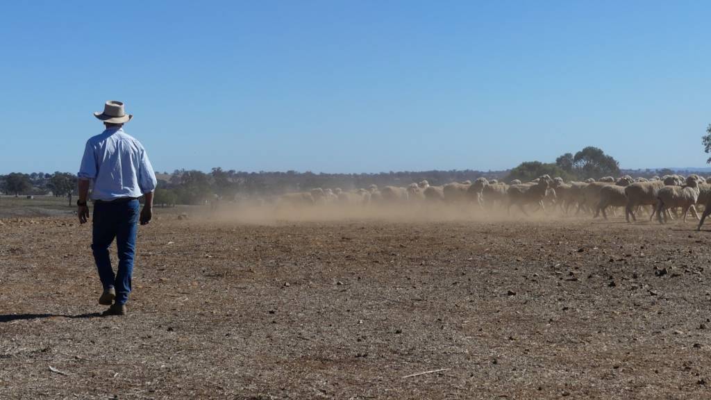 An El Niño event is likely in the coming months. It's impact on Australian farmers isn't certain, but the timing is concerning.