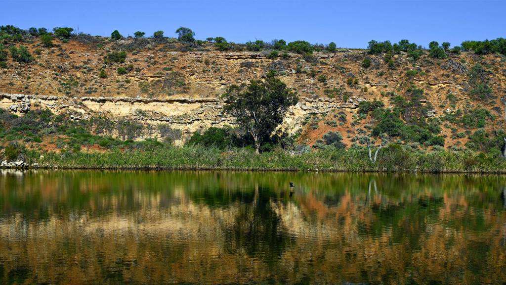 The Murray-Darling Basin Plan is in trouble — and political rows about water buybacks aren’t helping
