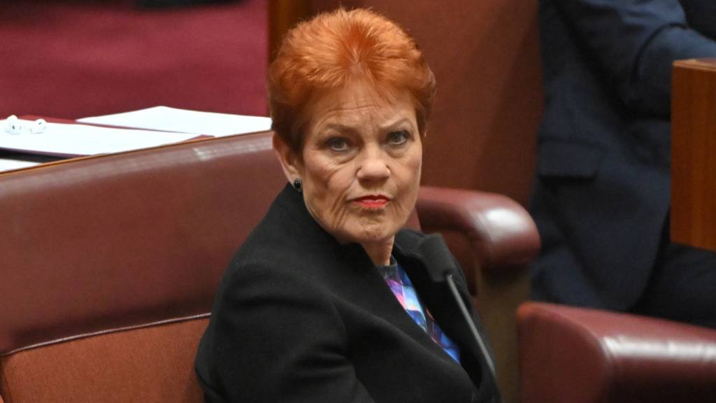 Pauline Hanson and One Nation lose support over policy platform