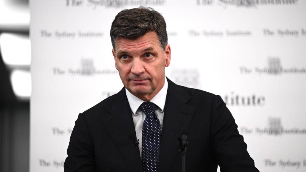 Angus Taylor finally gets round to taking on One Nation