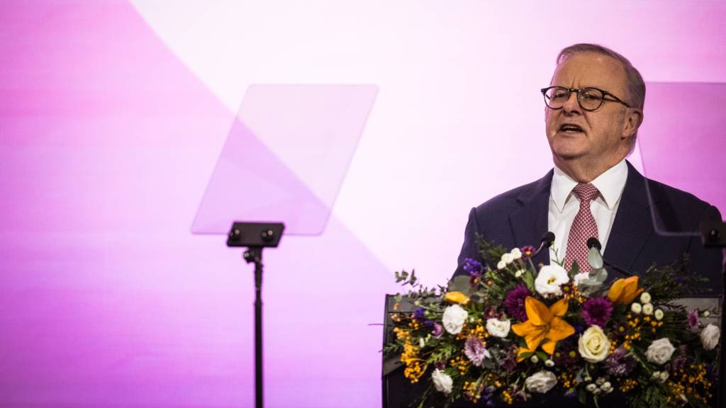 Albanese to announce new Office of AI and national framework