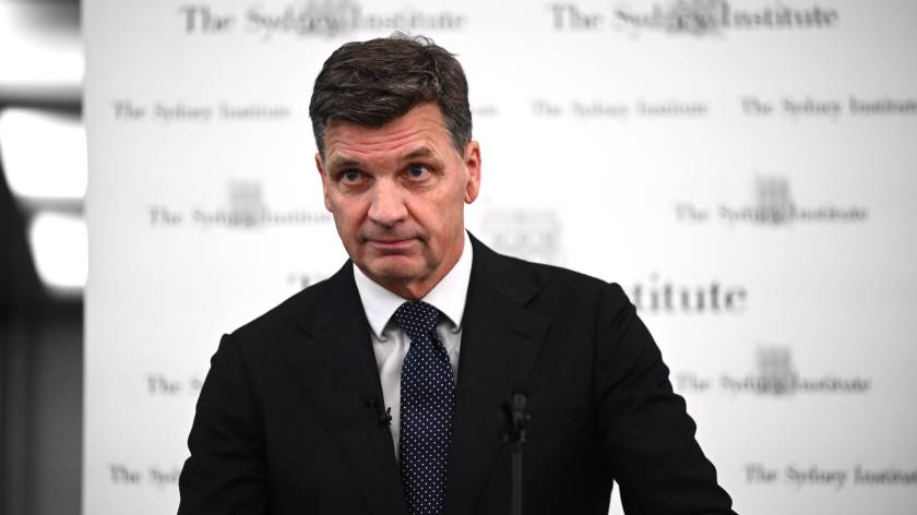 Angus Taylor struggles to talk about anything other than One Nation