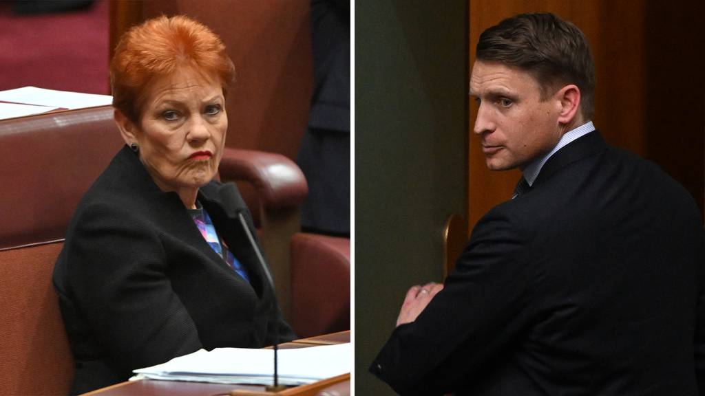 One Nation will throw the kitchen sink at WA’s surprise by-election. What role will Andrew Hastie play?