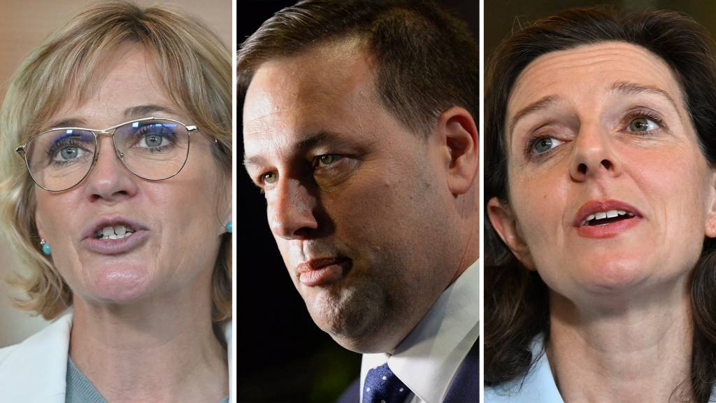 Teal independents assert agency as Falinski's critique sparks debate
