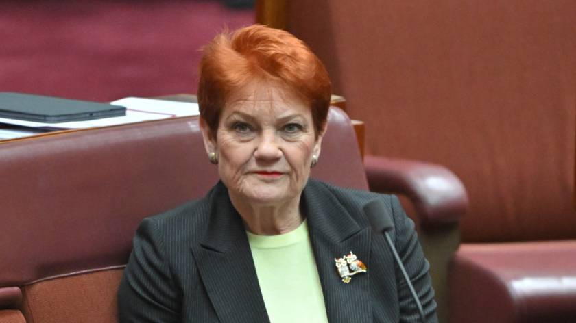 One Nation mocked for latest migration confusion