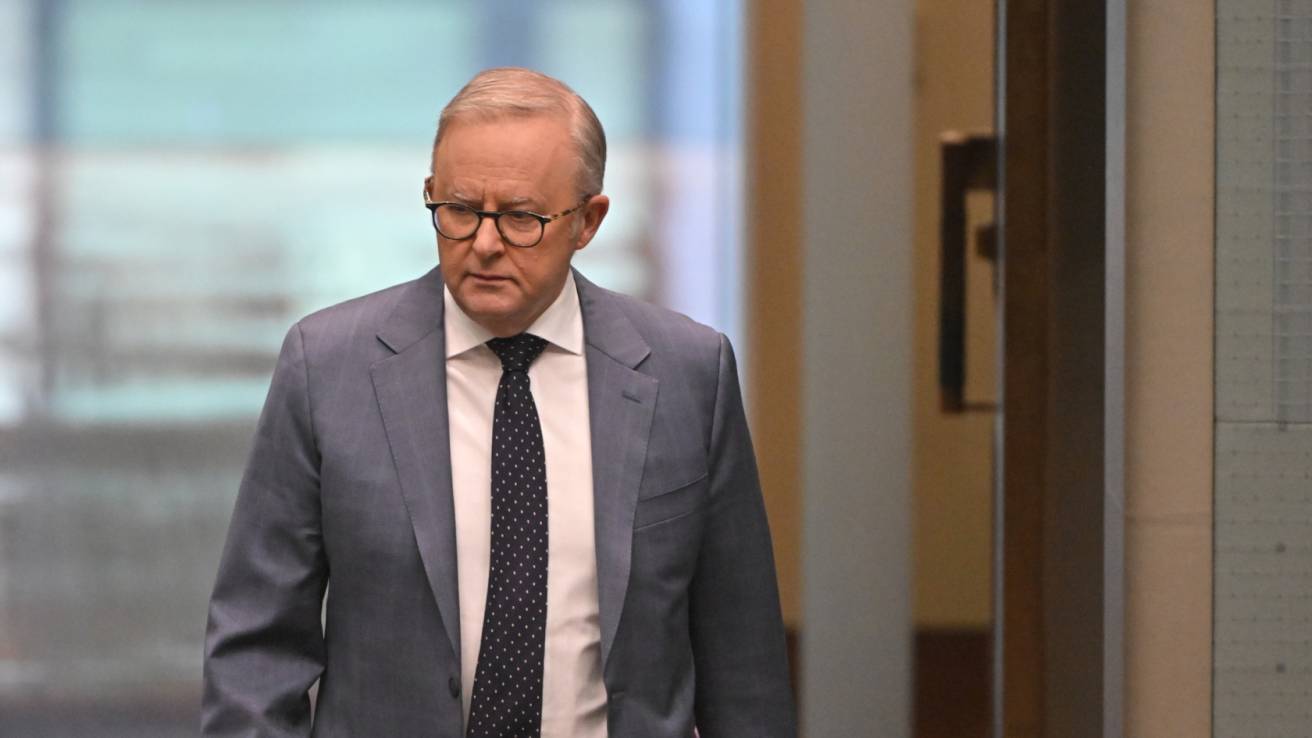 Albanese echoes 'outrage' at IDF clearing soldiers over Zomi Frankcom killing